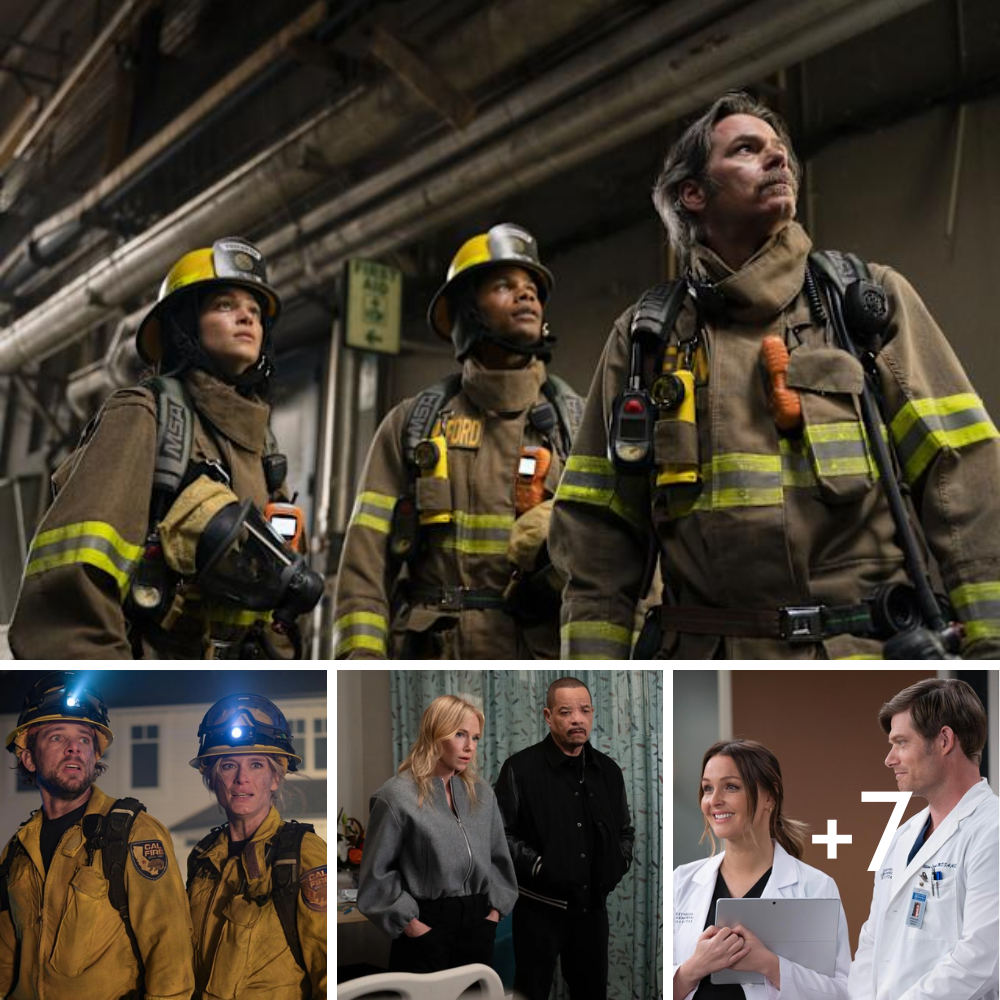 Which Scripted TV Shows Are Affected by Ongoing Budget Issues? Cast Changes, Reduced Screen Time Explained